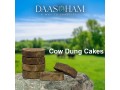 online-dung-cake-small-0