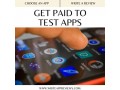 app-test-and-get-paid-small-0