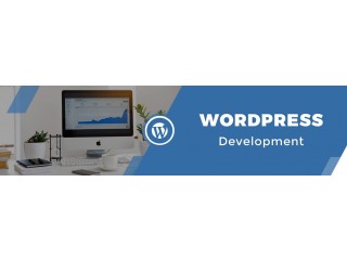 Get WordPress Support for Your Online Business from Pro Developers