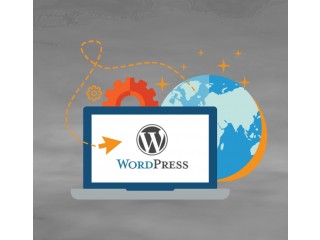 Professional and Low-cost WordPress Development in USA